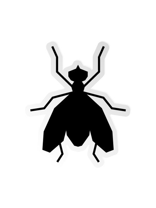 Flies