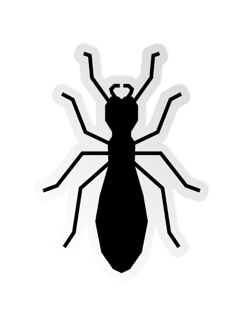Termites